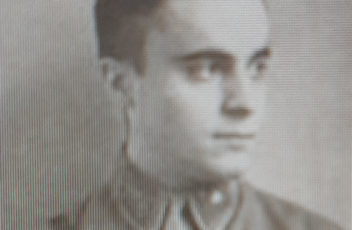 heymann q